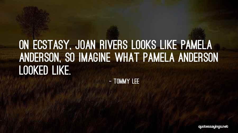 Huiremos Quotes By Tommy Lee Huiremos Quotes By Tommy Lee
