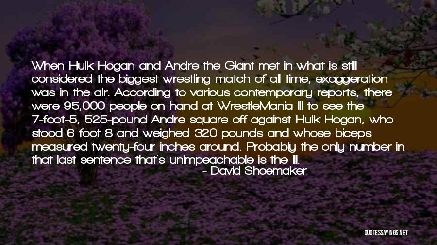 Hulk Hogan Wrestling Quotes By David Shoemaker