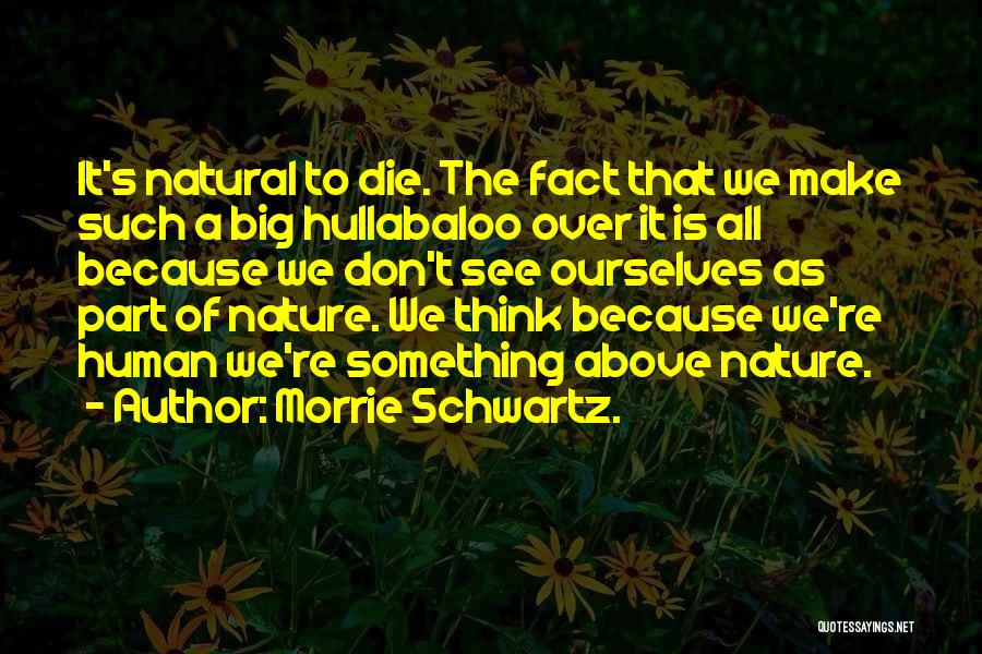 Hullabaloo Quotes By Morrie Schwartz.