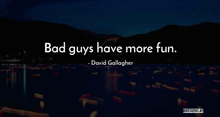 Hullender Enterprises Quotes By David Gallagher