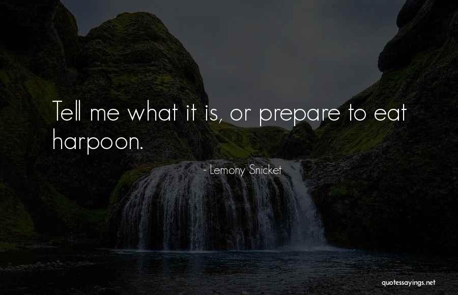Hullender Enterprises Quotes By Lemony Snicket Hullender Enterprises Quotes By Lemony Snicket