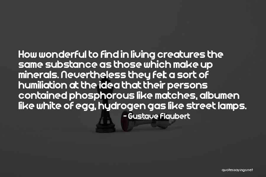 Hullinger Obituary Quotes By Gustave Flaubert Hullinger Obituary Quotes By Gustave Flaubert