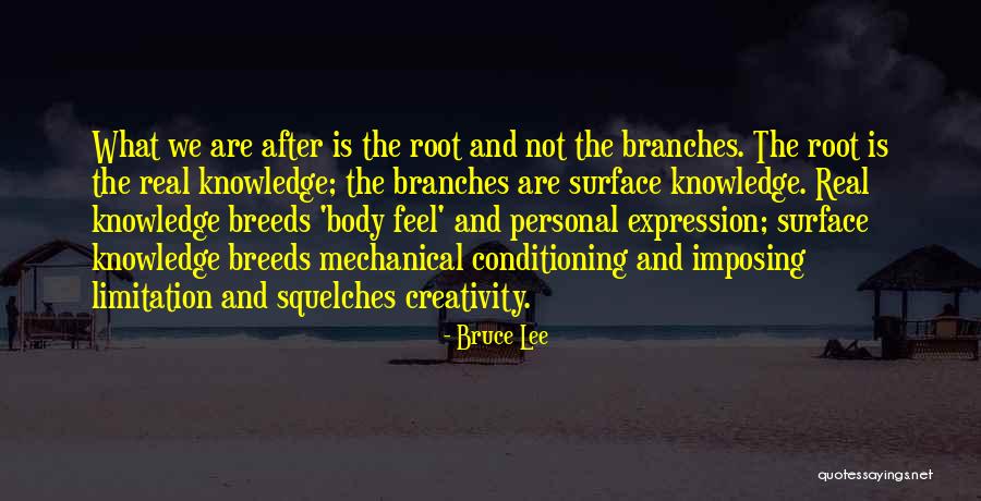 Hulscher Dentist Quotes By Bruce Lee Hulscher Dentist Quotes By Bruce Lee
