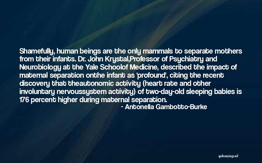 Human Activity Quotes By Antonella Gambotto-Burke