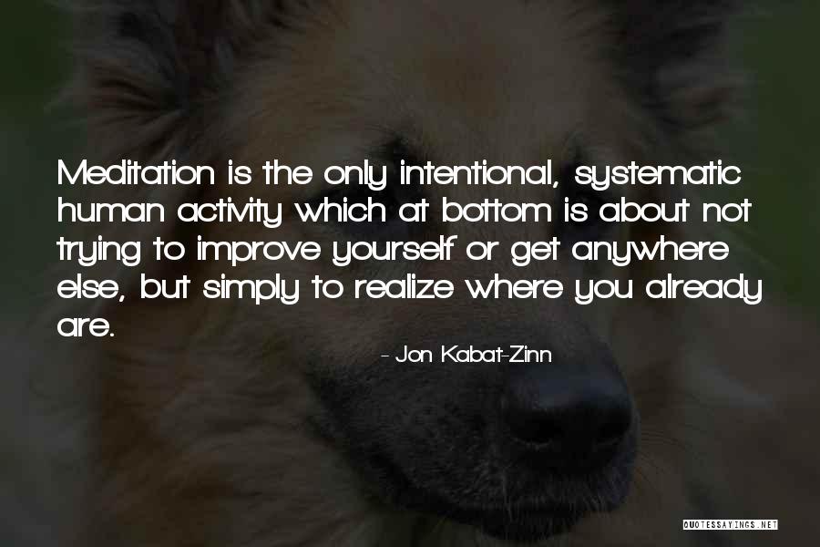 Human Activity Quotes By Jon Kabat-Zinn