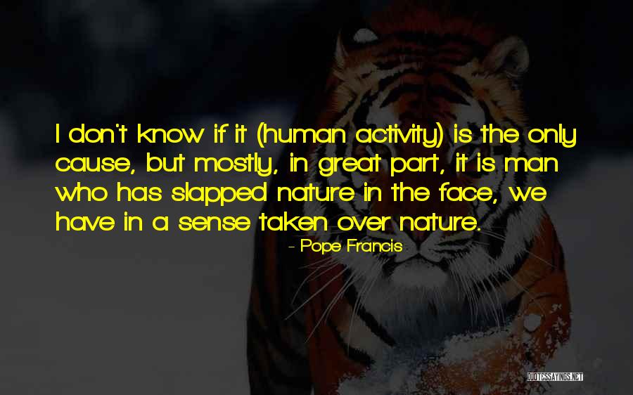 Human Activity Quotes By Pope Francis