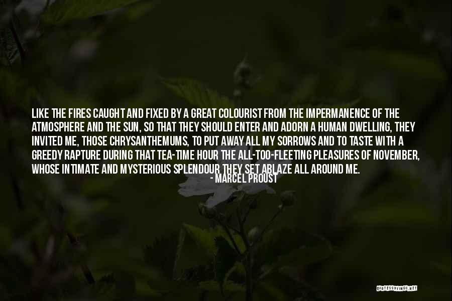 Human All Too Human Quotes By Marcel Proust Human All Too Human Quotes By Marcel Proust
