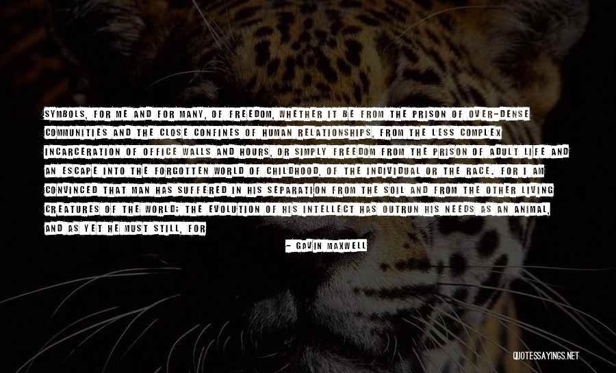 Human And Animal Relationships Quotes By Gavin Maxwell Human And Animal Relationships Quotes By Gavin Maxwell