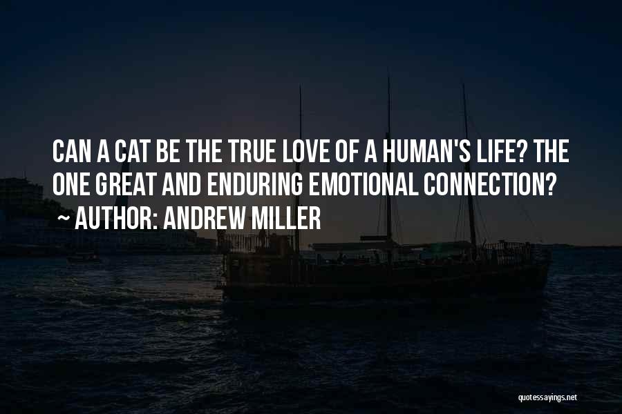 Human And Cat Quotes By Andrew Miller