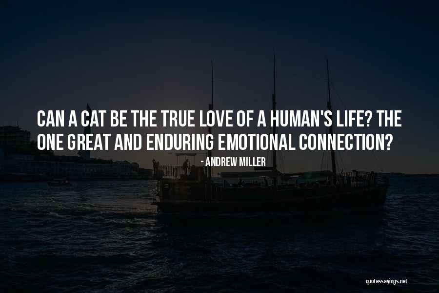 Human And Cat Quotes By Andrew Miller Human And Cat Quotes By Andrew Miller