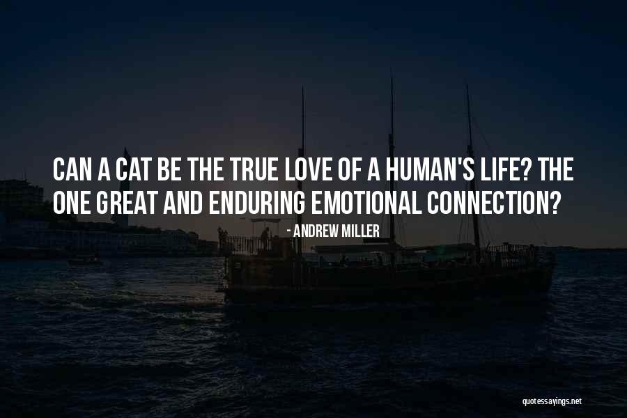 Human And Cat Quotes By Andrew Miller