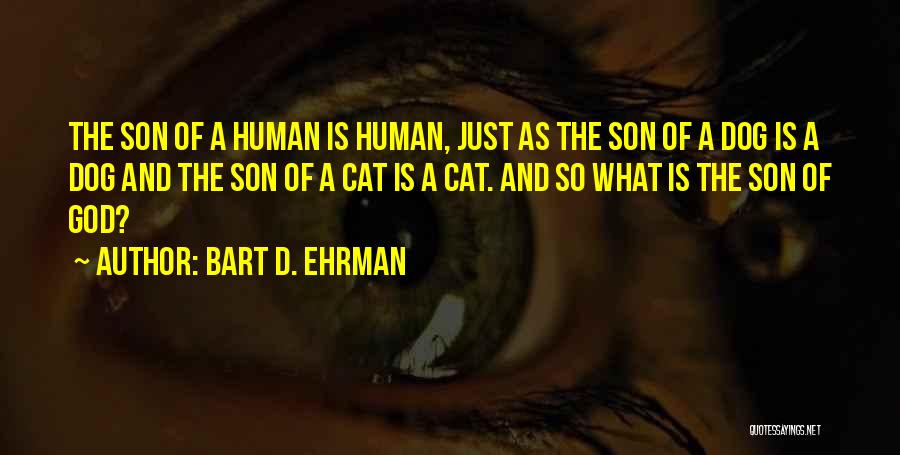Human And Cat Quotes By Bart D. Ehrman