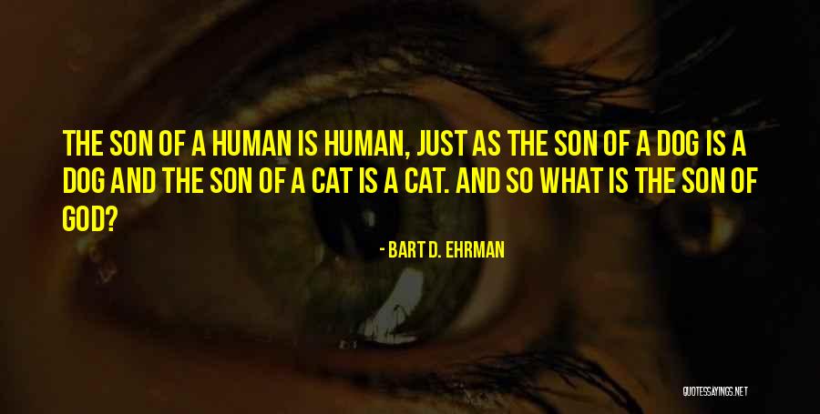 Human And Cat Quotes By Bart D. Ehrman