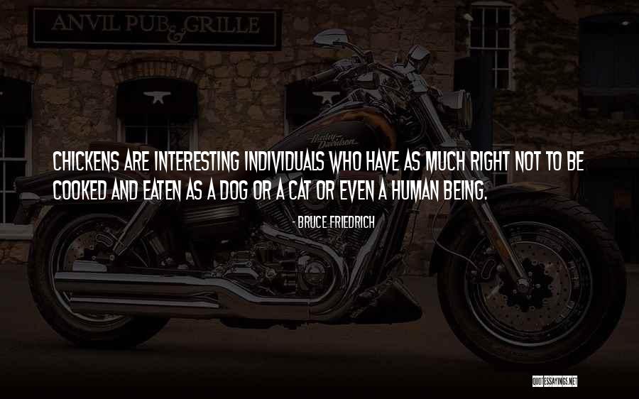 Human And Cat Quotes By Bruce Friedrich Human And Cat Quotes By Bruce Friedrich