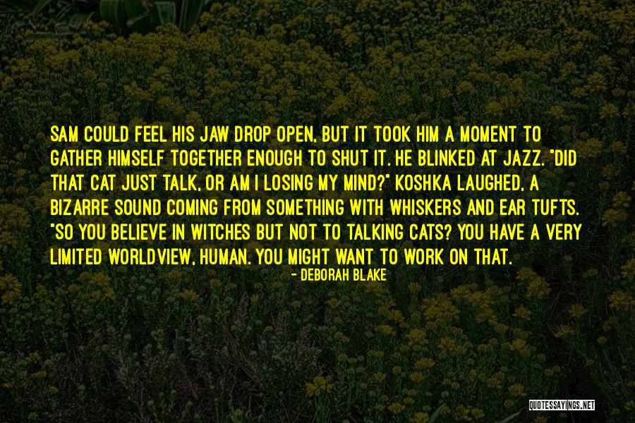 Human And Cat Quotes By Deborah Blake Human And Cat Quotes By Deborah Blake