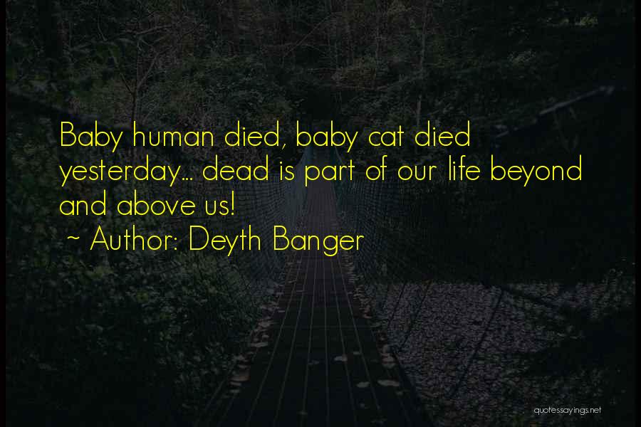 Human And Cat Quotes By Deyth Banger