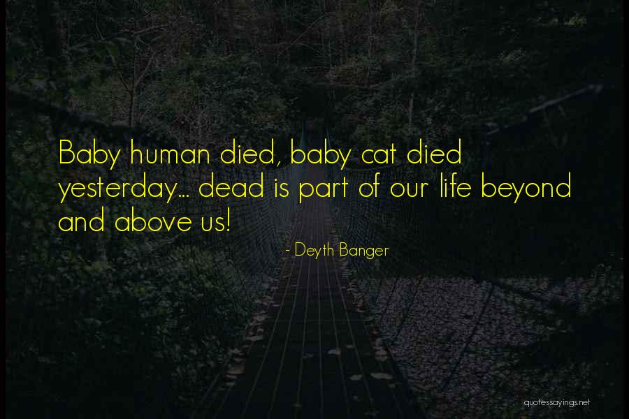 Human And Cat Quotes By Deyth Banger