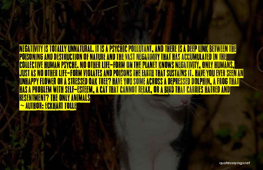 Human And Cat Quotes By Eckhart Tolle