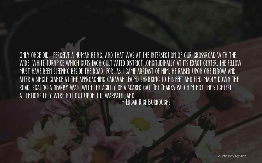 Human And Cat Quotes By Edgar Rice Burroughs Human And Cat Quotes By Edgar Rice Burroughs