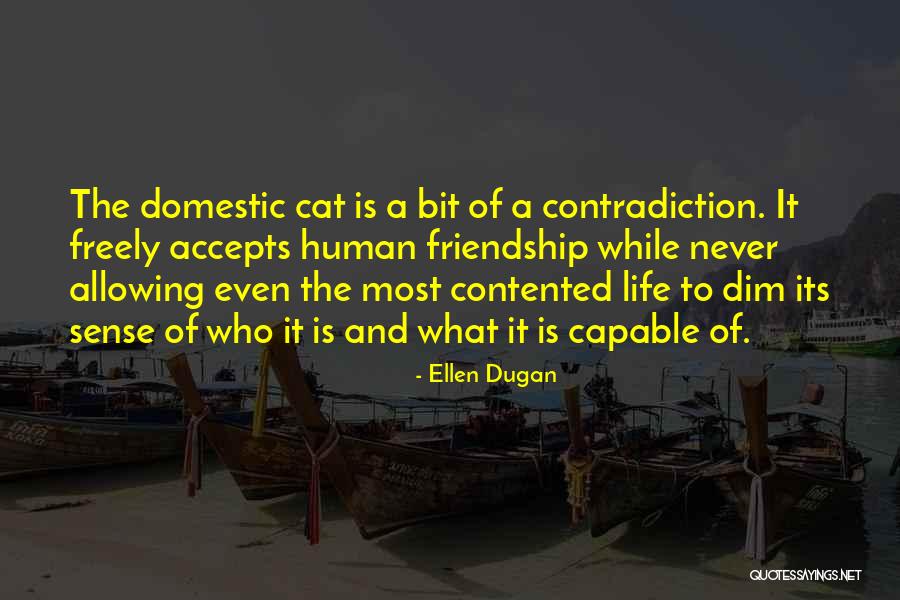 Human And Cat Quotes By Ellen Dugan