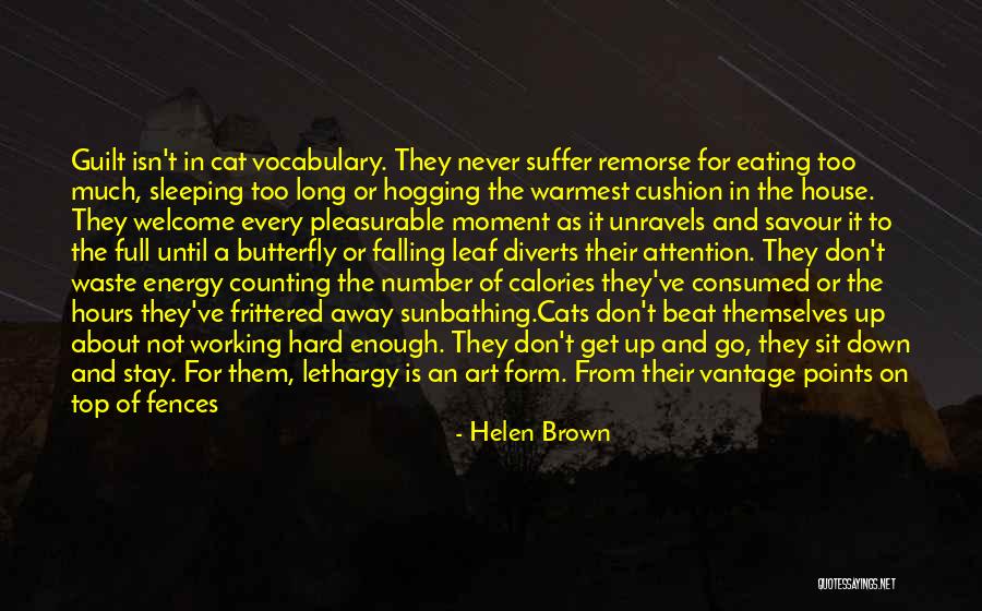 Human And Cat Quotes By Helen Brown Human And Cat Quotes By Helen Brown
