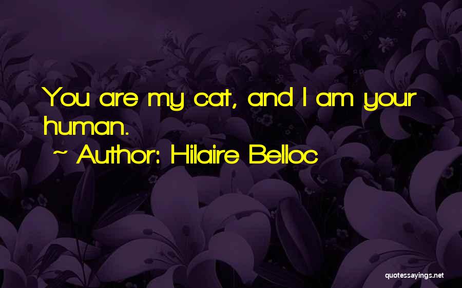 Human And Cat Quotes By Hilaire Belloc