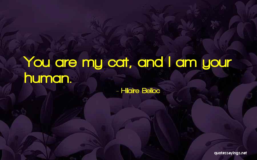 Human And Cat Quotes By Hilaire Belloc