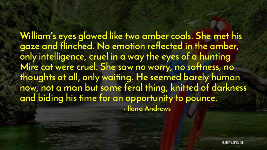 Human And Cat Quotes By Ilona Andrews Human And Cat Quotes By Ilona Andrews