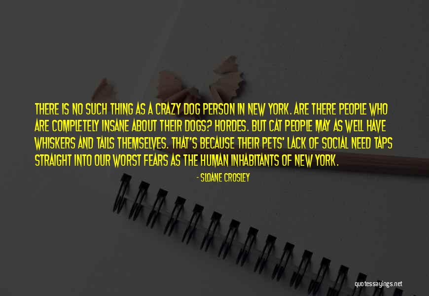 Human And Cat Quotes By Sloane Crosley Human And Cat Quotes By Sloane Crosley