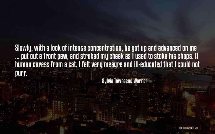 Human And Cat Quotes By Sylvia Townsend Warner Human And Cat Quotes By Sylvia Townsend Warner