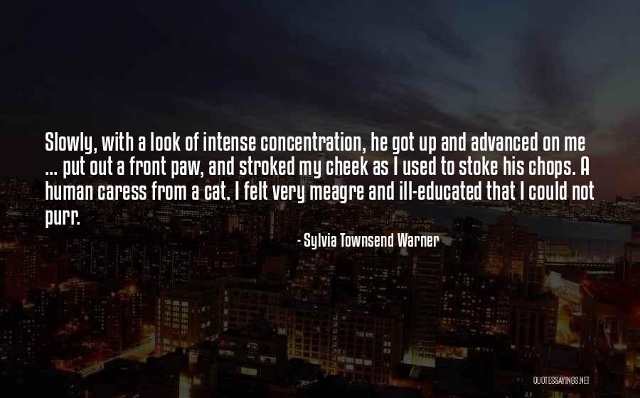 Human And Cat Quotes By Sylvia Townsend Warner