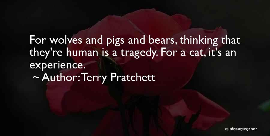 Human And Cat Quotes By Terry Pratchett