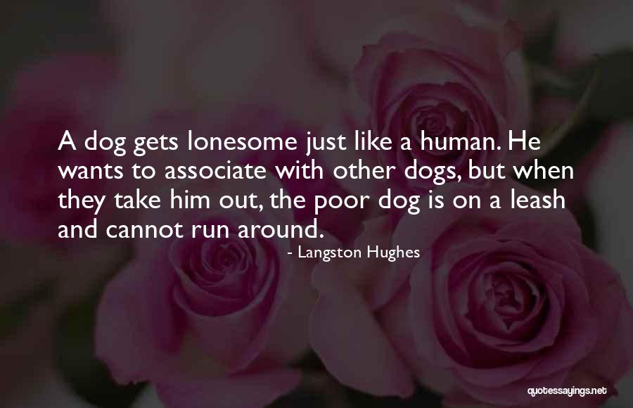 Human And Dog Quotes By Langston Hughes Human And Dog Quotes By Langston Hughes