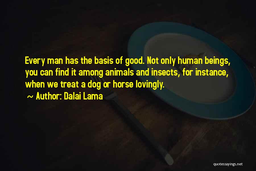 Human And Horse Quotes By Dalai Lama