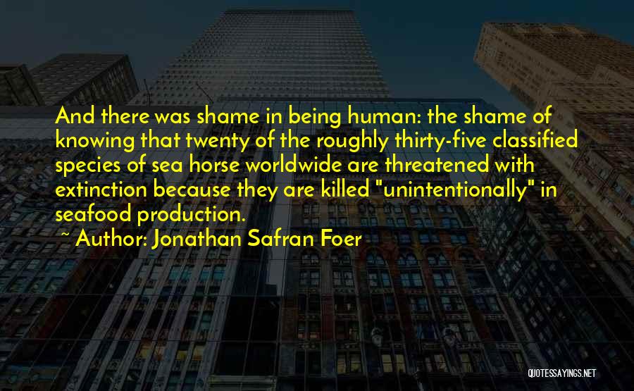 Human And Horse Quotes By Jonathan Safran Foer