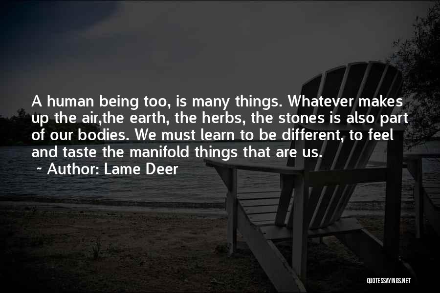 Human And Humanity Quotes By Lame Deer