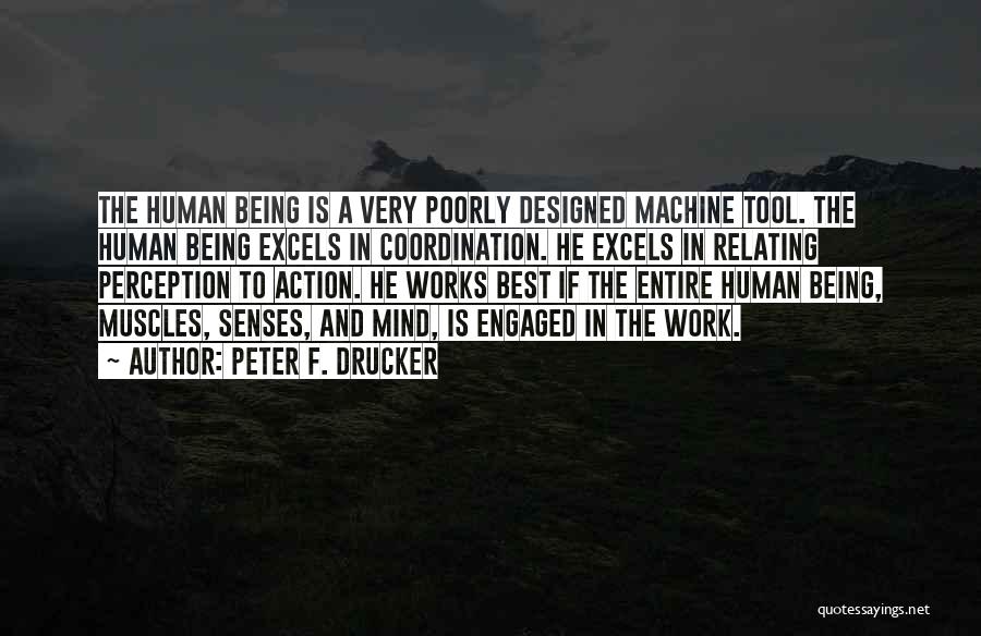 Human And Humanity Quotes By Peter F. Drucker