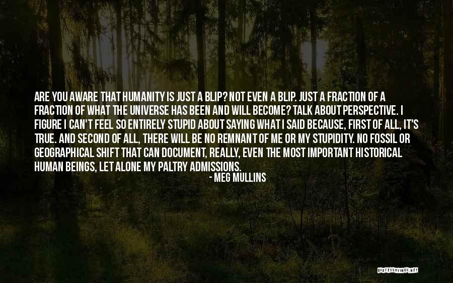 Human And Universe Quotes By Meg Mullins