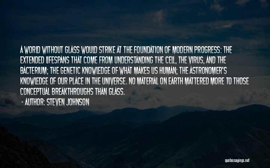 Human And Universe Quotes By Steven Johnson