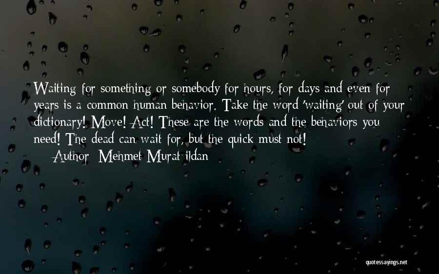 Human Behavior Quotes By Mehmet Murat Ildan