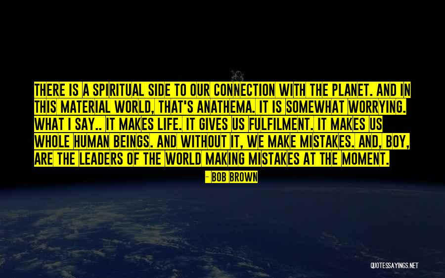 Human Beings Make Mistakes Quotes By Bob Brown