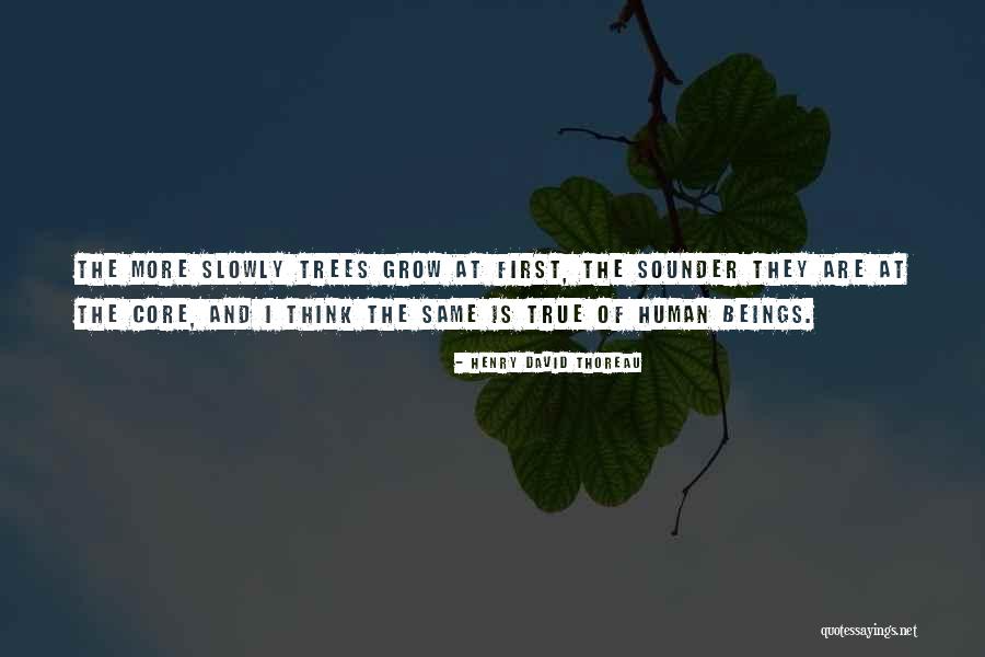 Human Beings Quotes By Henry David Thoreau