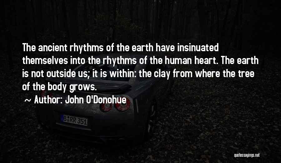 Human Body Nature Quotes By John O'Donohue