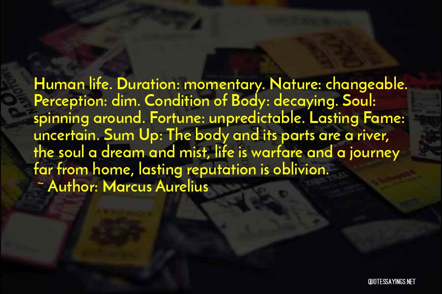 Human Body Parts Quotes By Marcus Aurelius