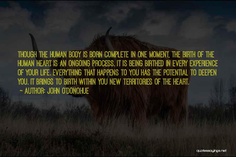 Human Body Potential Quotes By John O'Donohue