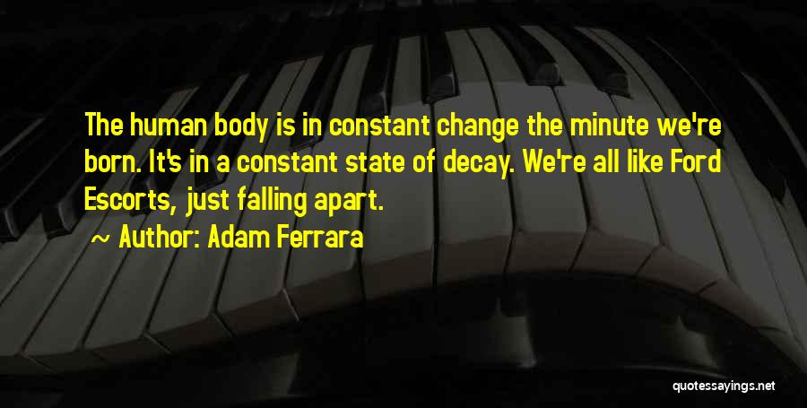 Human Body Quotes By Adam Ferrara