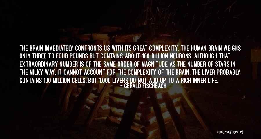 Human Brain Complexity Quotes By Gerald Fischbach Human Brain Complexity Quotes By Gerald Fischbach