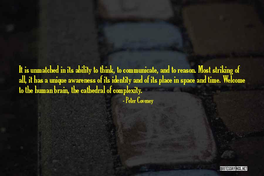 Human Brain Complexity Quotes By Peter Coveney Human Brain Complexity Quotes By Peter Coveney