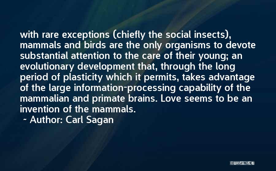 Human Brain Evolution Quotes By Carl Sagan