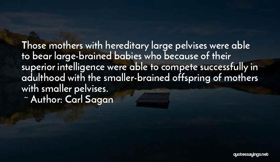 Human Brain Evolution Quotes By Carl Sagan